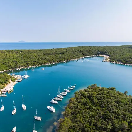 Villa Panoramica: Luxury Seaside Retreat Near Labin-rabac Koromacno